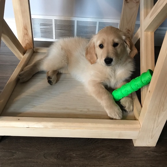 Meet your Posher, Kaylie - Picture 7 of 13